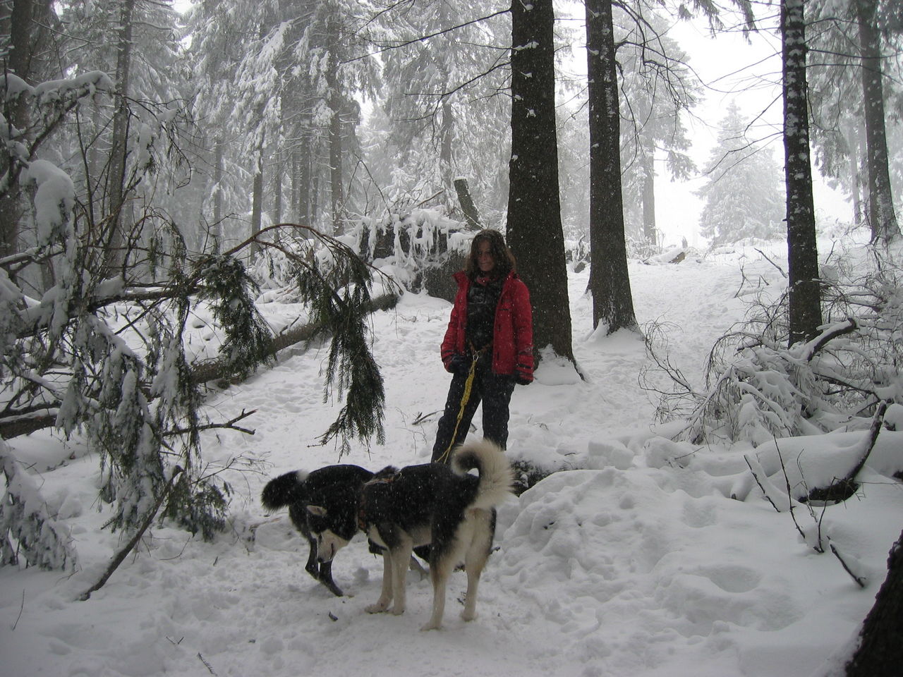 Schwarzwaldwinter.jpg (1280 x 960)